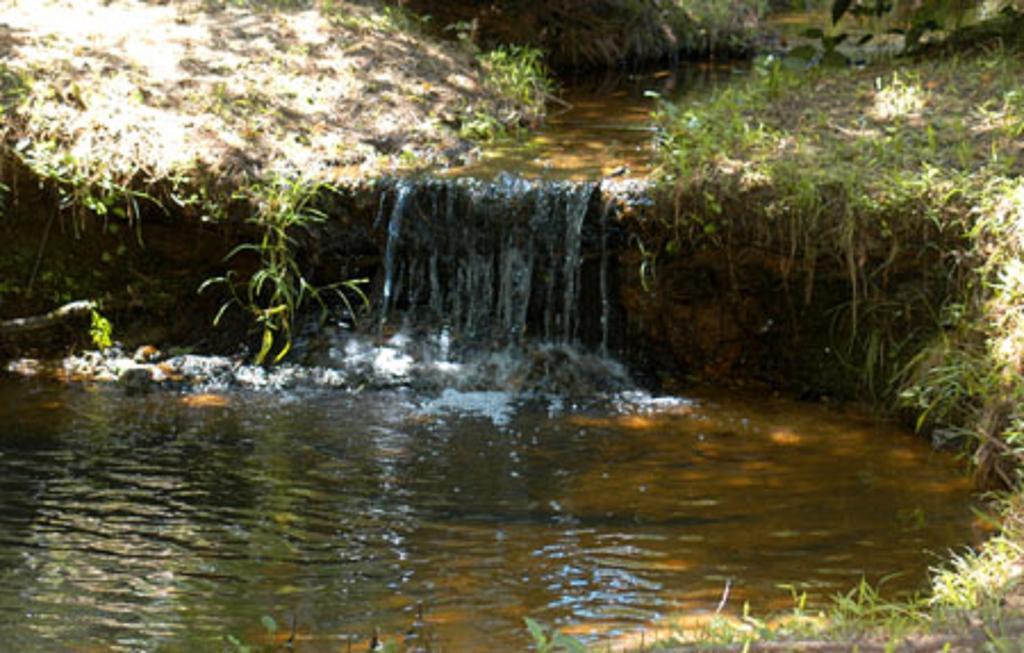 Pine Creek Country Inn Nacogdoches Eksteriør bilde